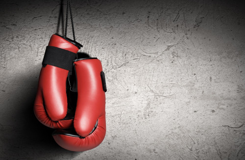 Seconde journée " para boxe adaptée "